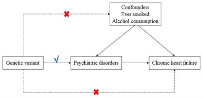 The effects of psychiatric disorders on the risk of chronic heart failure: a univariable and multivariable Mendelian randomization study